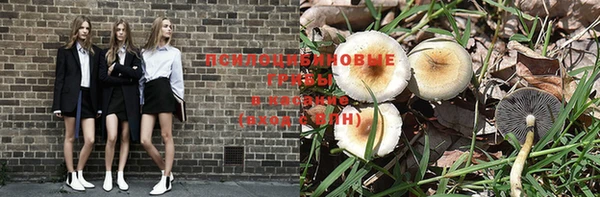 дмт Абаза