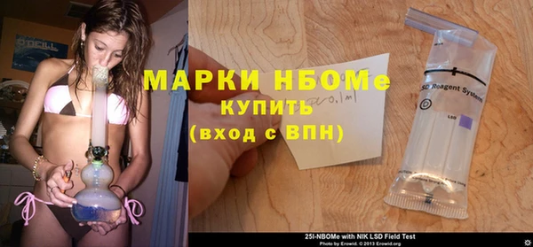 сатива Алзамай